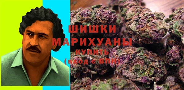 стафф Бронницы