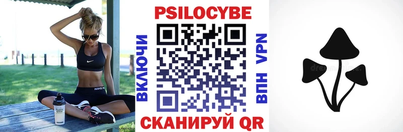 Псилоцибиновые грибы Psilocybe  Ильский 