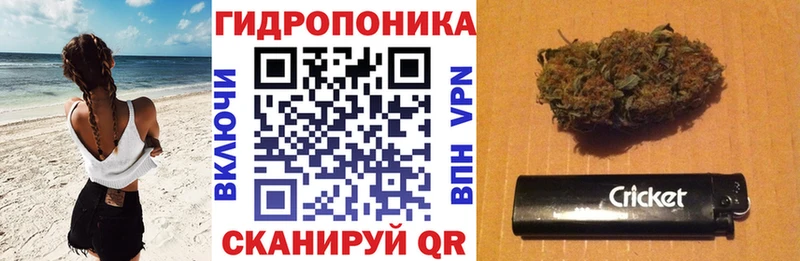 Каннабис MAZAR Ильский